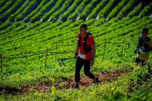 BIB: 
                            <button type="button" onclick="openModal(19161339)" class="btn btn-primary btn-sm float-right btn-popup" data-toggle="modal" data-target=".modal-high-quality">
                        <i class="fas fa-shopping-cart"></i> Add to Cart
                    </button>
                                            <button type="button" onclick="isThisMe(19161339, true)" class="btn btn-success btn-sm float-right btn-popup btn-isme hidden" data-toggle="tooltip" data-placement="bottom" title="นี่คือรูปของคุณใช่ไหม คลิกที่นี่เพื่อเอาเข้าอัลบั้ม">
                        <i class="fas fa-plus"></i> Add to album
                    </button>
                    <button type="button" onclick="isThisMe(19161339, false)" class="btn btn-warning btn-sm float-right btn-popup btn-isnotme hidden">
                        <i class="fas fa-ban"></i> Remove from album
                    </button>